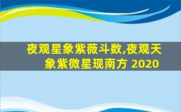 夜观星象紫薇斗数,夜观天象紫微星现南方 2020